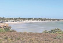 Council seeking Perlubie Beach feedback