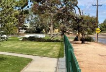 Wild winds cause Wudinna damage