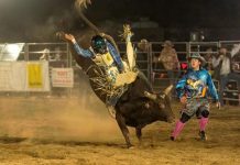Growing rodeo recognised at awards