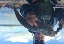 Winter species start to fire