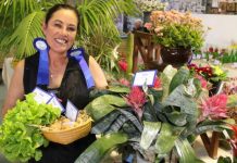 Show time returning to Port Lincoln