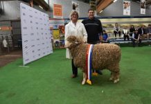 EP exhibitors successful at show