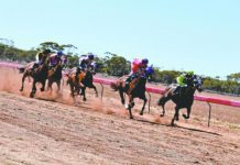 Fawke pilots ‘Prince’ to Cup