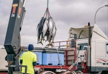 Have your say: The right step forward