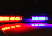 Police News: Thrown rocks damage Port Lincoln cars