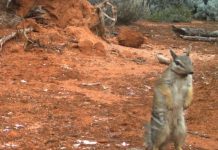 Sharing the Secret – I wish all dads could…