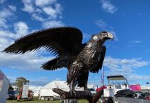 ‘Reggie the Wedgie’ to fly around Cleve