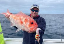 Taking the bait: Salmon season in full swing