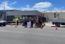 Ancient bones unearthed