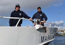 Big achievements from small fish