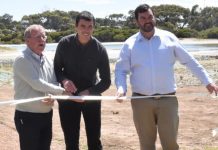 Wetland negates mozzie problem