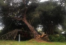 Extreme weather causes widespread power issues