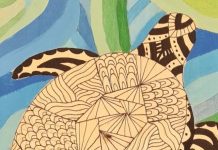 Creativity on display at SALA Festival