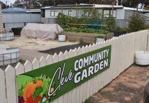 Community garden grows