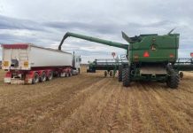 Optimism remains despite rain