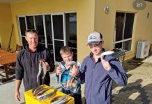 Conditions good for salmon fishing