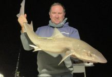 Taking the bait: Better fishing weather on long weekend