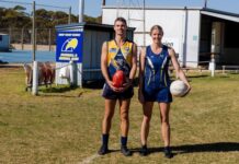 Interchange: Game over at Piednippie