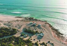 Elliston surfer survives shark attack
