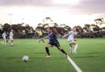 Looking back on 2023: Dodd celebrates grand final success