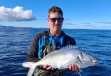 Whale watch to spot tuna
