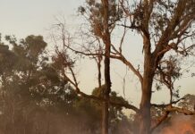Prescribed Barwell burn