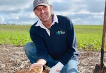 EP representation on grains committee