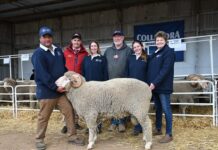 Full clearance at Collandra