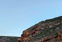 Salmon in good numbers on West Coast