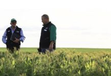 Tour to identify EP grains research opportunities