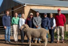 Karawatha Park pleased with top price