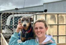 Kasey and Moon try for title