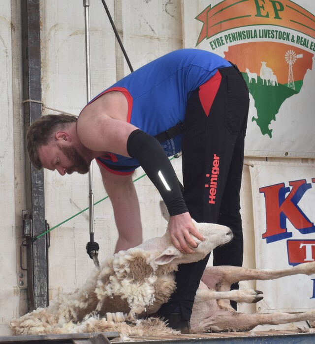 KimbaShear_506942_01