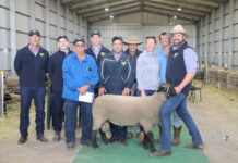 Strong sale for She-Oak Lodge