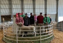 Prices up for Uralba