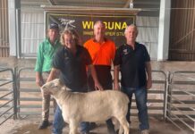 Strong focus on quick growth