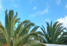 Conditions test paddlers