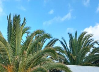 Conditions test paddlers