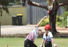 Great Flinders dominates game