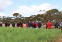 Another successful season at Lock trial site