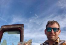 Salmon numbers hit and miss