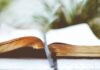 Good News for You: Love – romance and more