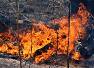 Prepare for bushfire season