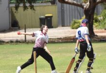 Great Flinders restricts Lincoln run-rate