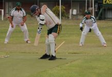 Cats win low-scoring match