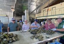 Ceduna trip marks Probus Birthday Month