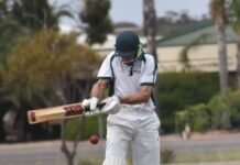 Cats rob Bushrangers of win