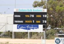 Bears, Thevy on top in Far West