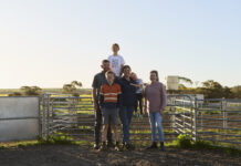 Weather it together: Support for SA farmers when they need it most