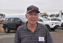 What is your dream car?